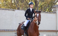 无人区码卡二卡1卡2卡动漫